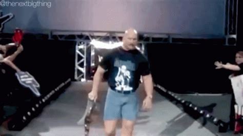 It's a decent song, but (excuse the pun) there is NO chance in hell that it fits. . Stone cold entrance gif